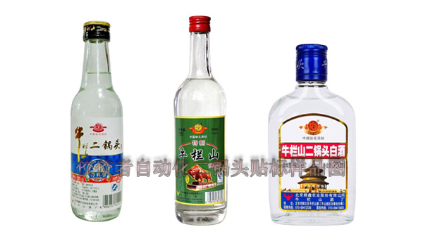 貼標樣品圖 貼標樣品圖