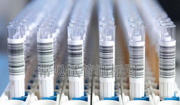 試管貼標(biāo)簽樣品圖 試管貼標(biāo)簽樣品圖