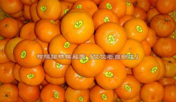 柑橘水果表面貼標(biāo)圖 柑橘水果表面貼標(biāo)圖